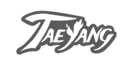 Файл:Taeyang logo.png