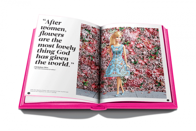 Файл:The Art of @ BarbieStyle book.png