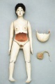 Анатомическая кукла, 18 век, Япония.