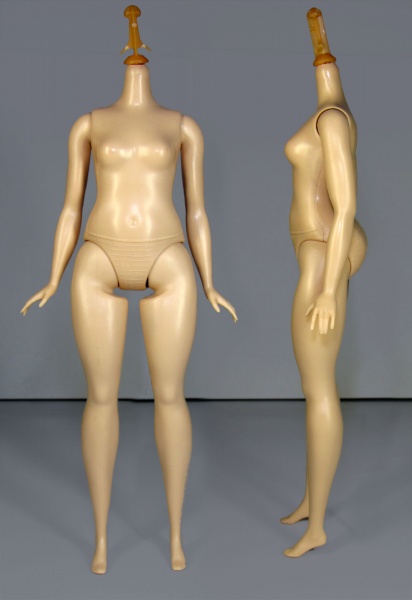 Файл:Curvy Fashionistas Barbie Body 02.jpg