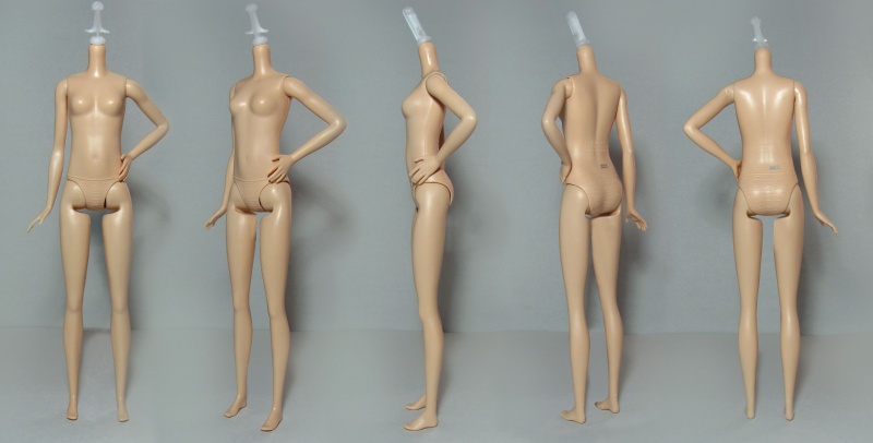 Файл:Tall Fashionistas Barbie Body 02.jpg