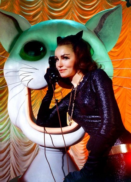 Файл:1966 Julie Newmar as Catwoman.jpg