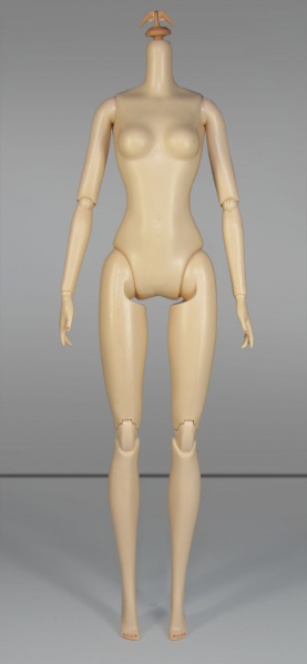 Файл:2016 Poseble Hero Barbie Body Type 2.jpg
