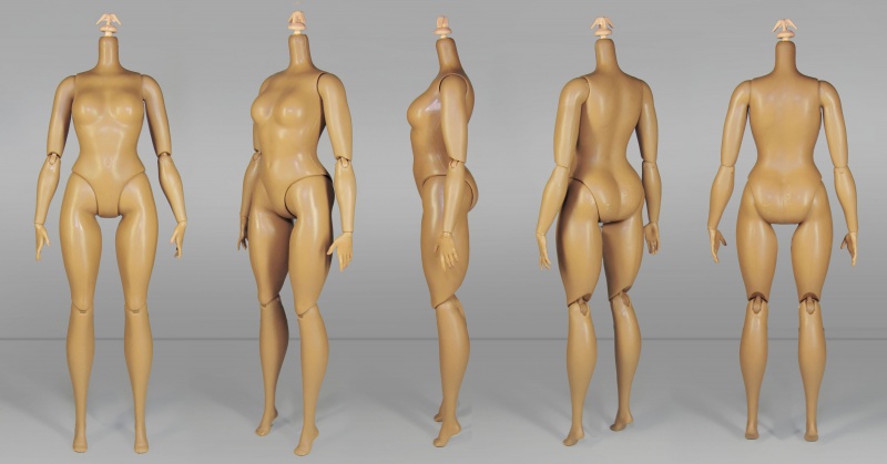 Файл:2016 Curvy Articulated Collectable Barbie Body Full.jpg
