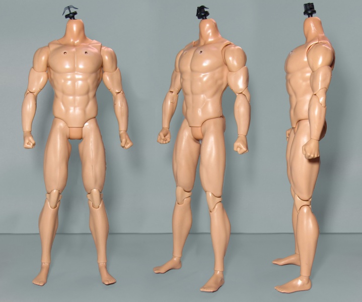 Файл:Poseable Hero Male Ken Body 2015 with Torso.jpg