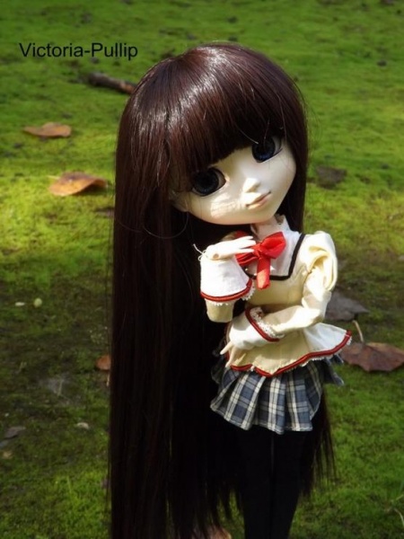 Файл:Pullip Homura Akemi wig.jpg