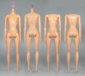 Миниатюра для Файл:Fashionistas body Barbie 06.jpg