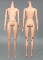 Миниатюра для Файл:Fashionistas body Barbie 05.jpg
