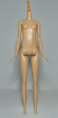 Миниатюра для Файл:Tall Fashionistas Barbie Body 00.jpg