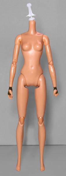 Файл:2015 Poseable Hero Female Barbie Body.jpg