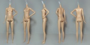 Миниатюра для Файл:Tall Fashionistas Barbie Body 02.jpg