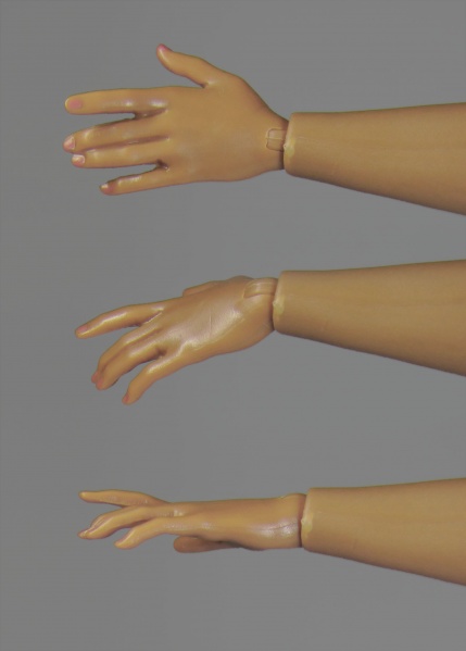 Файл:2016 Curvy Articulated Collectable Barbie Body Hand.jpg
