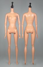 Миниатюра для Файл:Fashionistas body Barbie 02.jpg