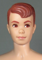 Новый раздел — Изменения внешности кукол Ken